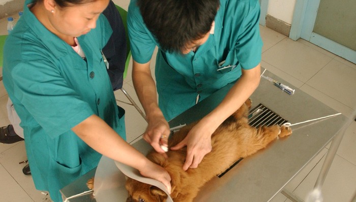 杭州疑似狂犬病女童父亲：萧山疾控泄露女儿检测报告