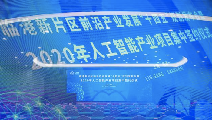 临港新片区,十四五,规划