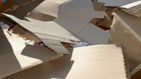 废纸价格再创年内新高