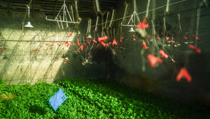 生鲜电商,社区团购,互联网