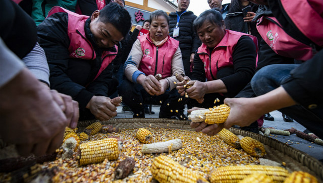 农产品,元旦,春节,玉米,