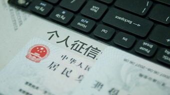 征信,金融,银行