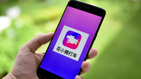 花小猪暂停北京服务背后：疫情防控不力被约谈，尚未取得运营资质