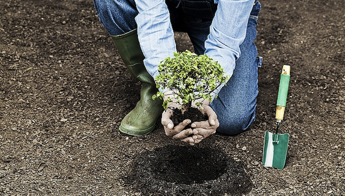 疫情唤起健康险市场两位数高增长，2020年百万医疗险保费突破500亿