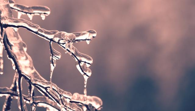 寒潮；应急管理,上海
