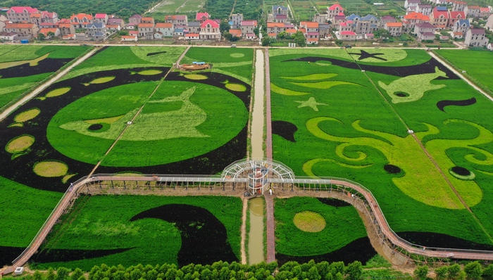 上海,农业,十四五,新型职业农民