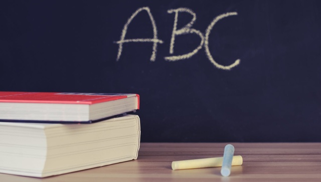 教育,大湾区
