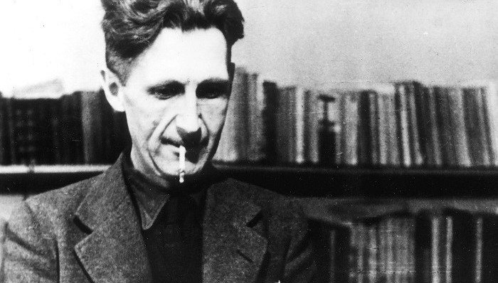 动物保护,外国文学,素食主义