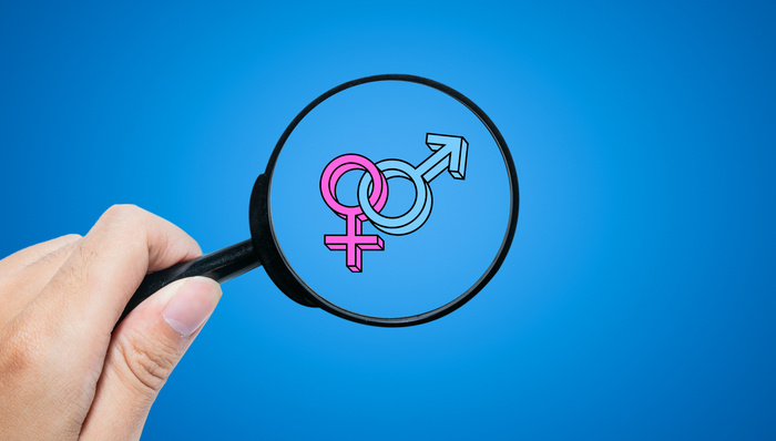 上海市妇联，生育政策，男女平等，促进就业，上海两会，妇女权益