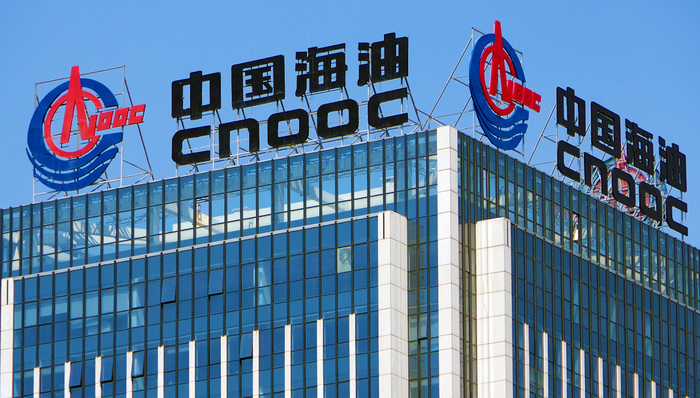 中海油，跨国公司