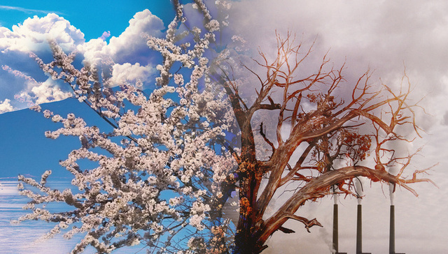 龙净环保,28亿,定增