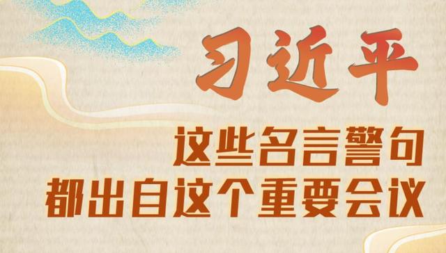 习近平,名言警句,会议