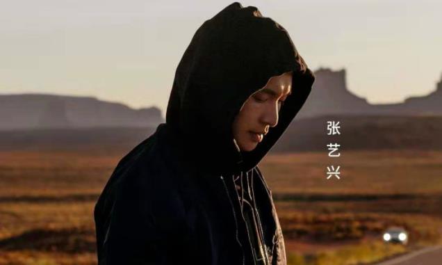 短视频,中国市场,快手,抖音,直播电商