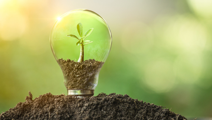 环保，公园，碳排放