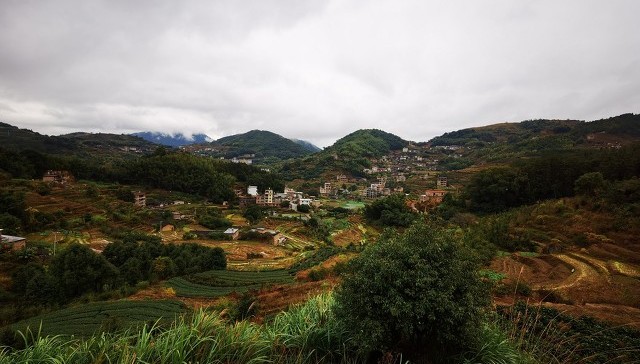 独家｜“饿死的B站UP主”人生另一面：家境尚可，因违法多次被拘留