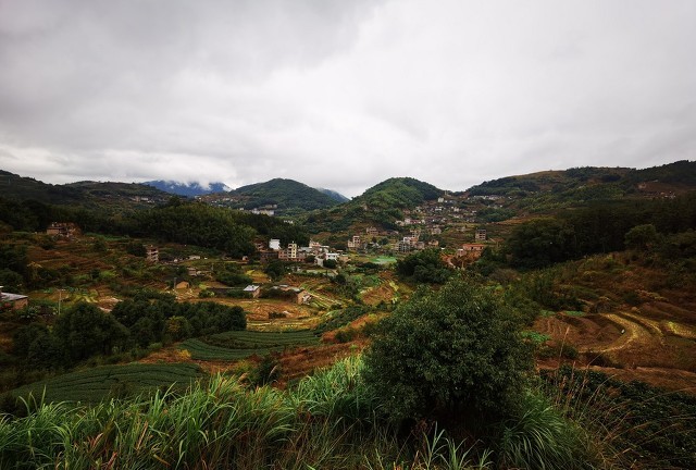 独家｜“饿死的B站UP主”人生另一面：家境尚可，因违法多次被拘留