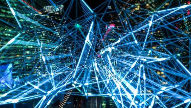 上海两会,数字化转型,数据,委员