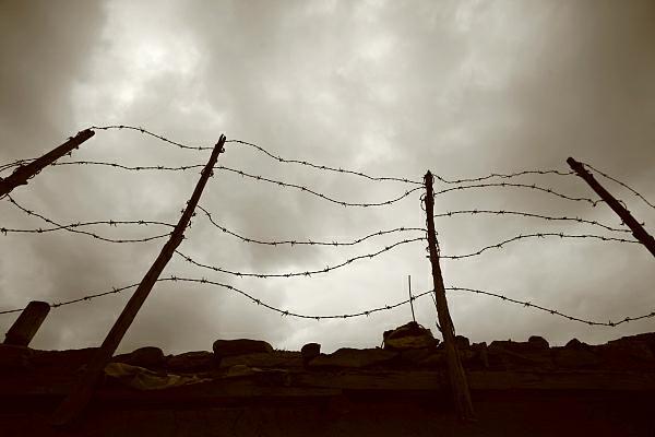 集中营创伤症候群研究 | 国际大屠杀纪念日