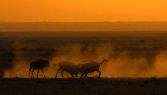 【深度】金融赛道狭路相逢，快手抖音谁能胜？
