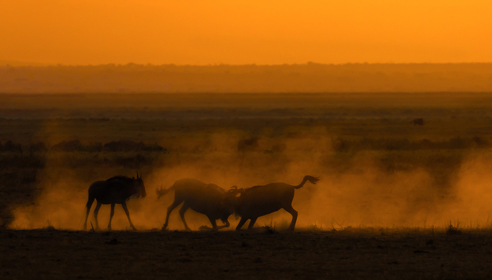 金融科技,快手,抖音