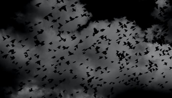 电影,心理学,类型片,惊悚小说