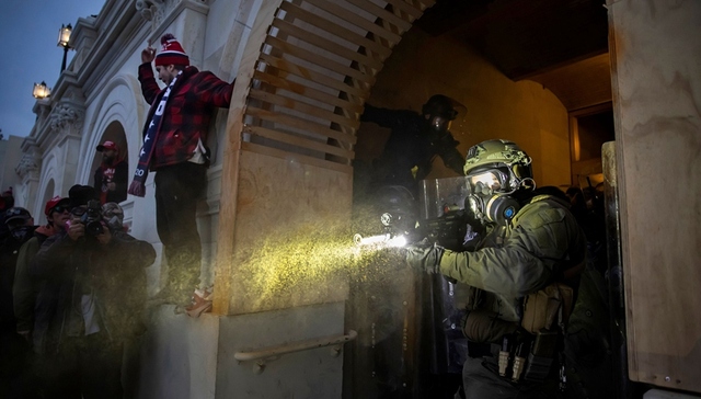 国土安全部,恐怖主义,极右翼