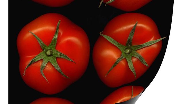 番茄小说,字节跳动