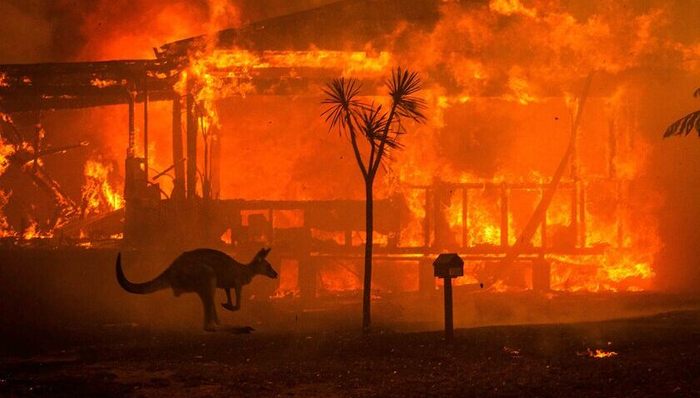 摄影,摄影师,当代艺术