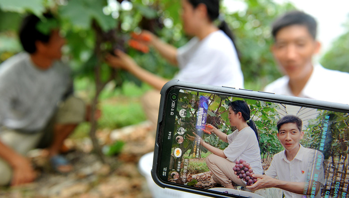 宏观眼,抖音,农民工