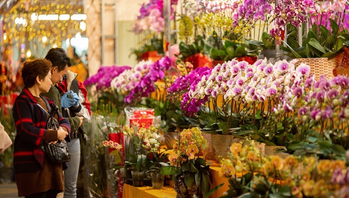 花市,年宵花,广州,云上花市
