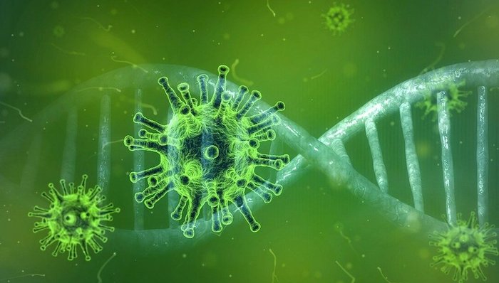 病毒,突变,免疫,抗体,疫苗