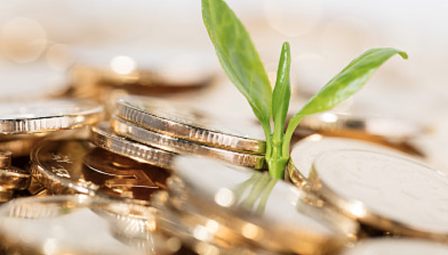 【每日收评】资金避险情绪加重，科技股大幅跳水