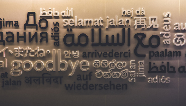 在版权争议背后，字幕组如何影响了翻译与人？