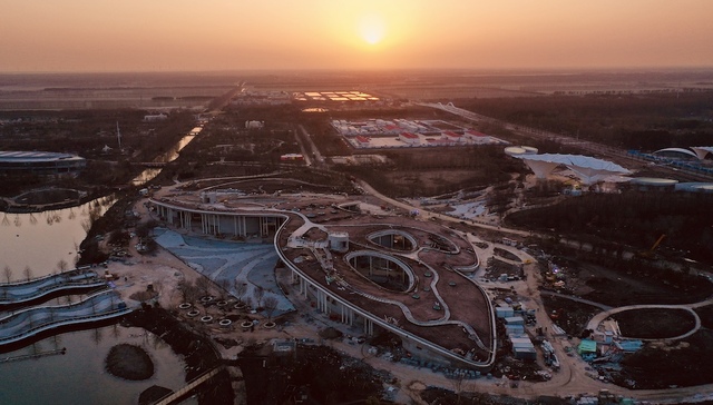 第十届花博会,崇明,倒计时100天