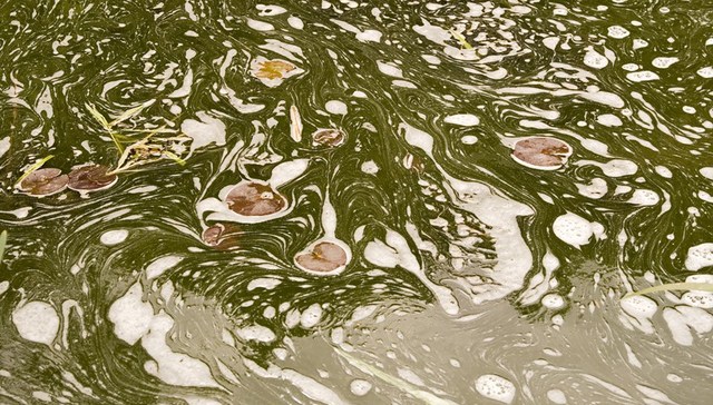 生态环境部约谈湖北孝感等6市区：长江经济带环境问题整改不力