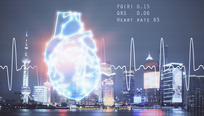 上海市医保局,骗保