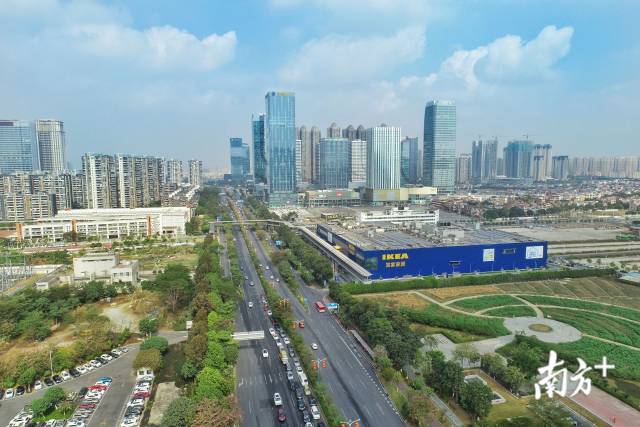 千灯湖片区是目前“亿元楼”最为集中的区域，共有17栋位于该片区。南方日报记者戴嘉信 摄