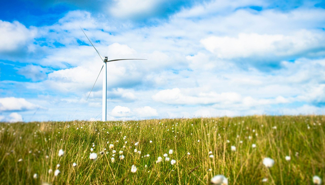 105亿，四家能源央企发行碳中和绿色债券