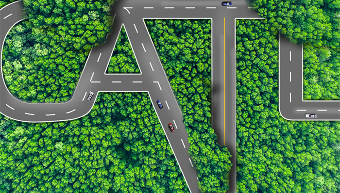 宁德时代,业绩,投资者关系