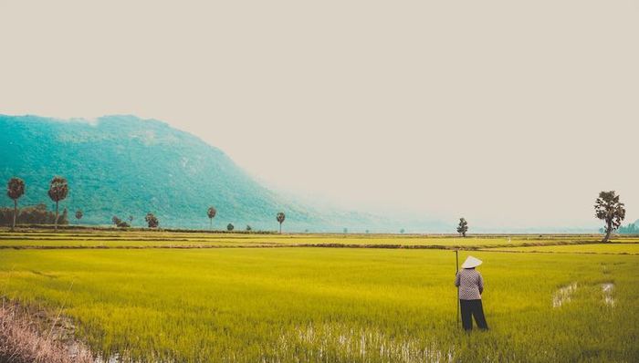 上海,对口扶贫,脱贫攻坚,援滇,援藏,援青
