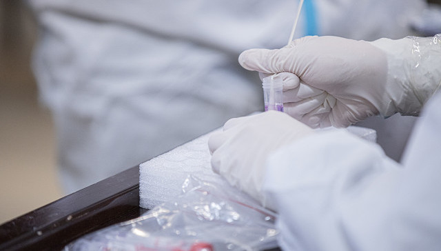 迈克生物业绩大增，新冠检测试剂带动自主IVD产品快速发展