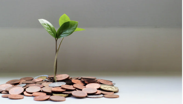 科技股“韭菜”的惊魂一周：本想赚钱买包，结果要卖包还钱