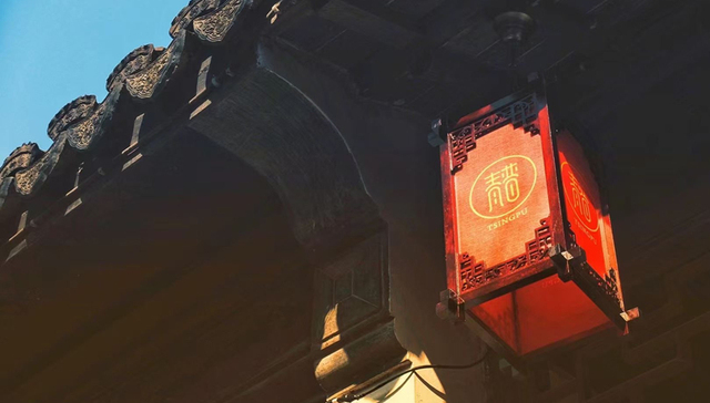 王功权,旅游产业,文旅,青普,商业模式,业绩