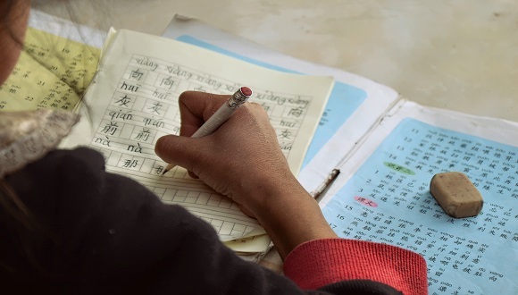 就业,基础教育,学历