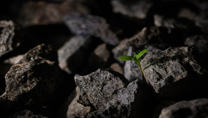 龙头公司股价上涨200%，稀土行情这次会不一样么？| 涨价潮谁受益⑫