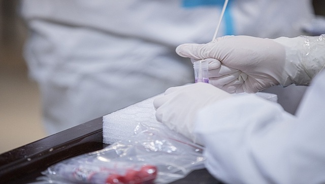 达安基因,云康集团,新冠核酸检测,港股IPO