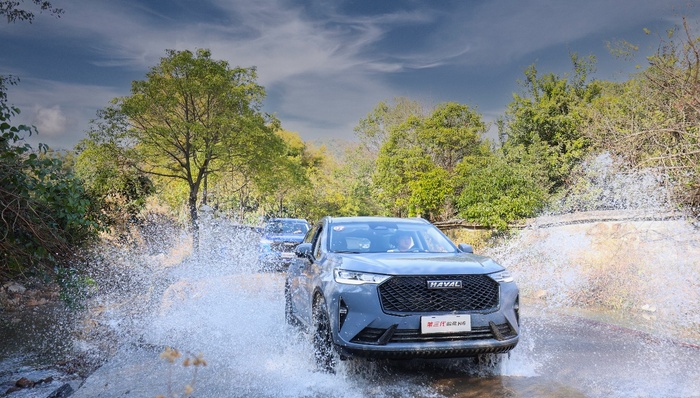 长城汽车,车圈观察