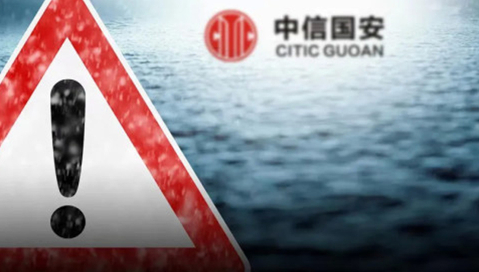 中信国安,财务造假,证监会