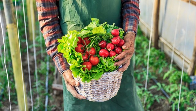 离退休人员如何发挥余热？委员建议“告老还乡”助力乡村振兴｜两会聚焦