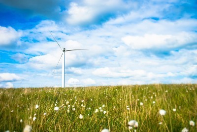 “碳中和”带来巨大想象空间，又一万亿市场冉冉升起